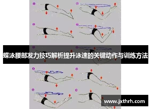 蝶泳腰部发力技巧解析提升泳速的关键动作与训练方法